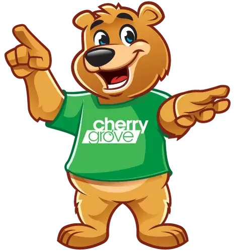 Find Cherry Grove childcare in Havelock North